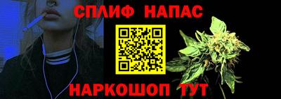 МДПВ Краснознаменск