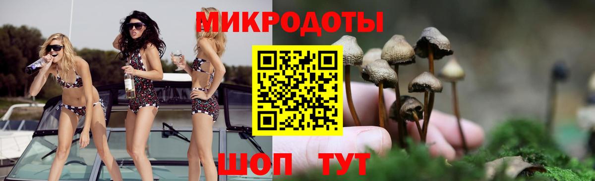 Псилоцибиновые грибы GOLDEN TEACHER Хабаровск